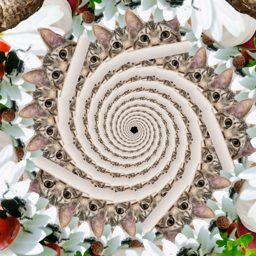 Variation 7