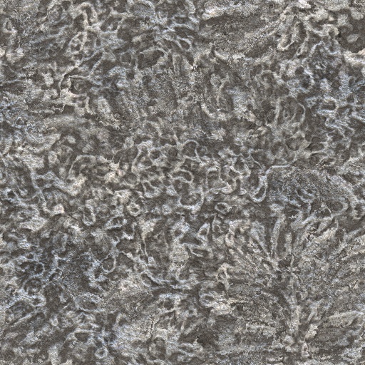 Variation 5