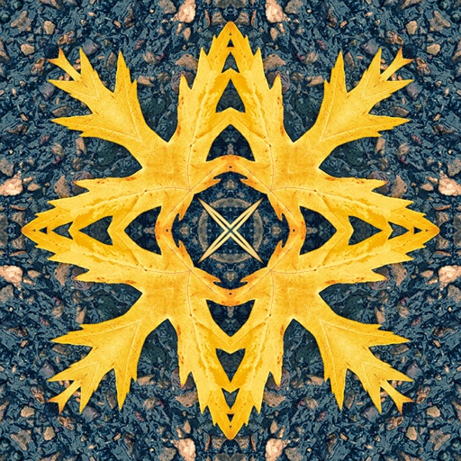 Variation 1