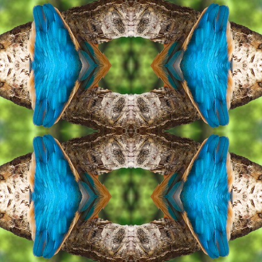 Variation 2