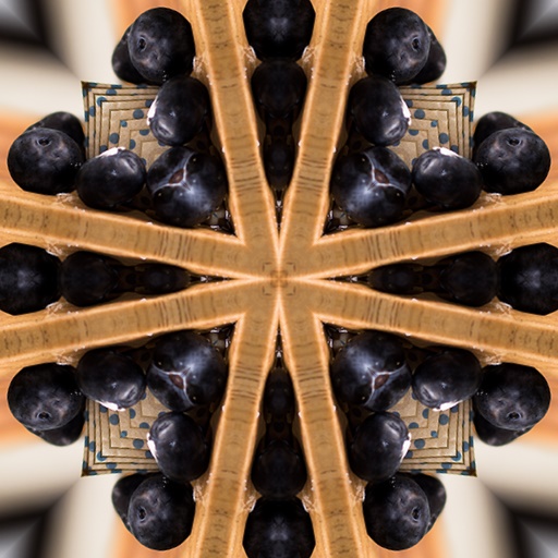 Variation 4