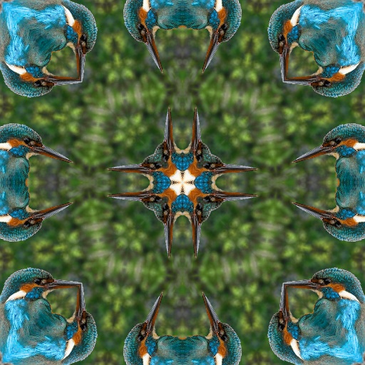 Variation 7