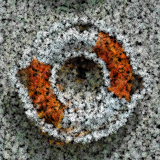 Variation 1