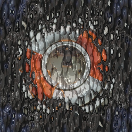 Variation 8