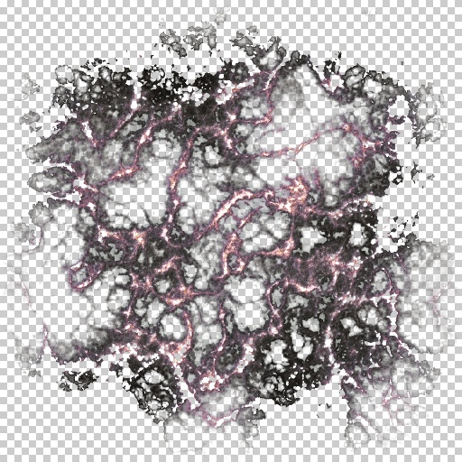 Variation 4