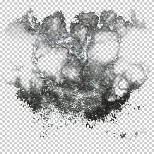 Variation 6