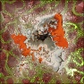 My photo got sick