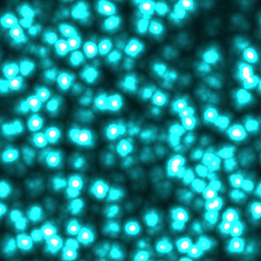 Variation 2