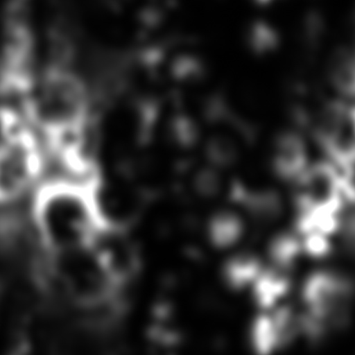 Bump Map