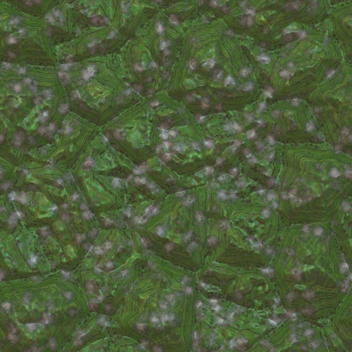 Variation 2