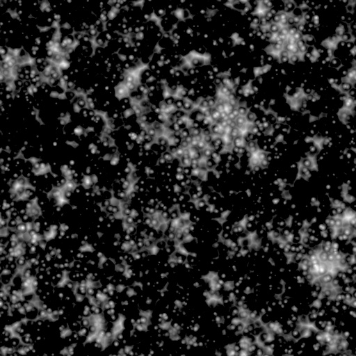 Bump Map