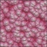 Tissue_001