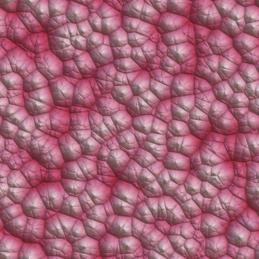 Variation 5