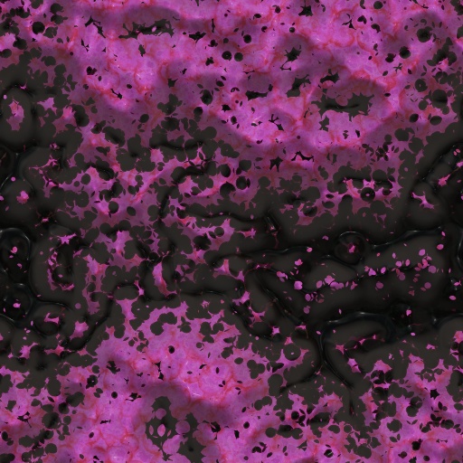 Variation 5