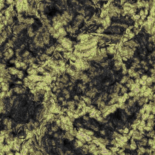 Diffuse Map