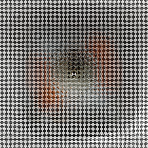 Variation 2