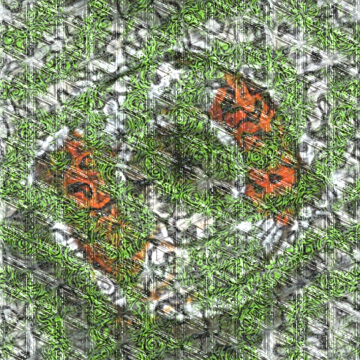 Variation 4