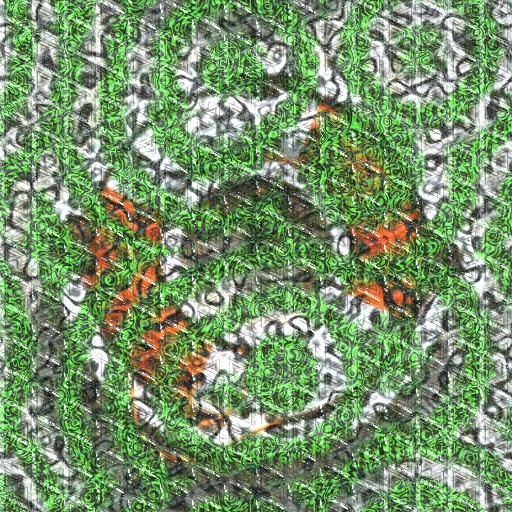 Variation 5