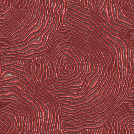 Variation 4