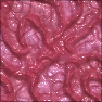 Veiny Brain
