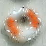 Embryonic Blur