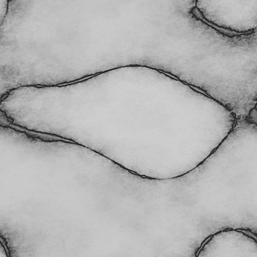 Bump Map