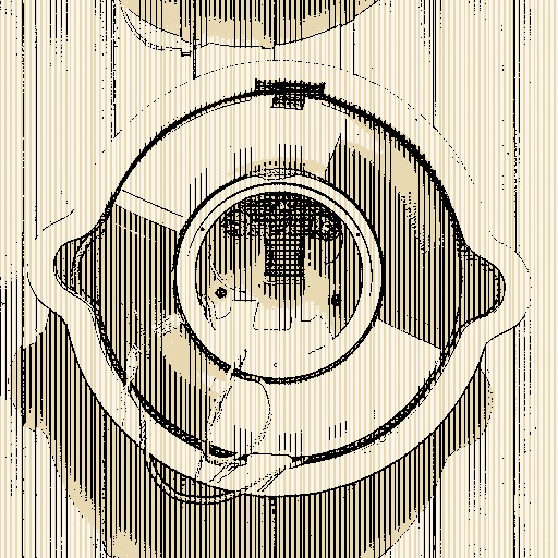 Variation 5