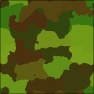 Cammo_001