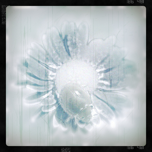 Variation 1