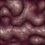 labyrinth_brain