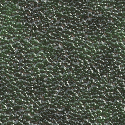 Variation 5