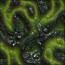 Weird Skin