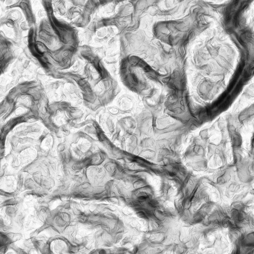 Ambient Occlusion Map