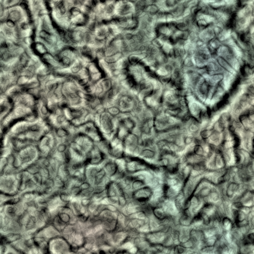 Diffuse Map