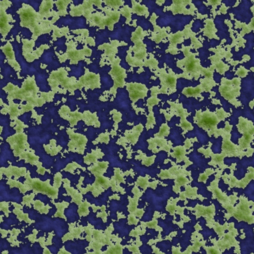 Variation 7