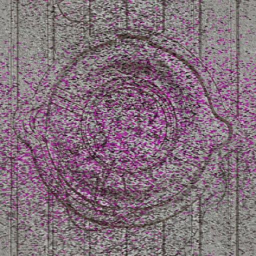 Variation 3