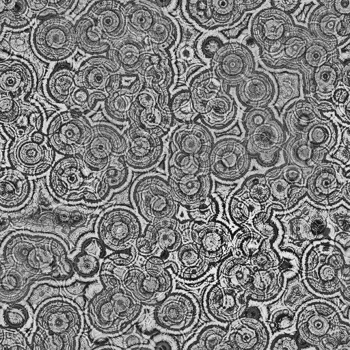Bump Map