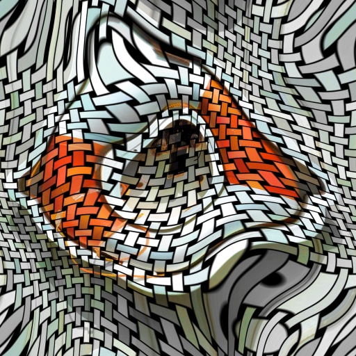 Diffuse Map