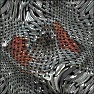 Wickerwork imaged