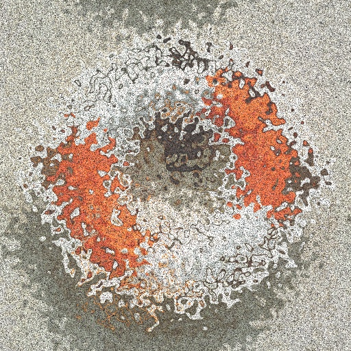 Variation 2