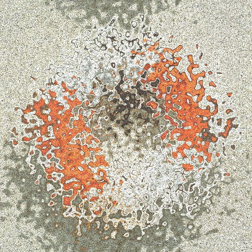 Variation 4