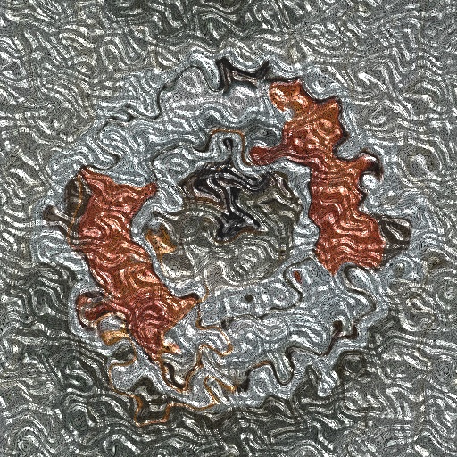 Variation 7