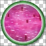Watermeloncholy