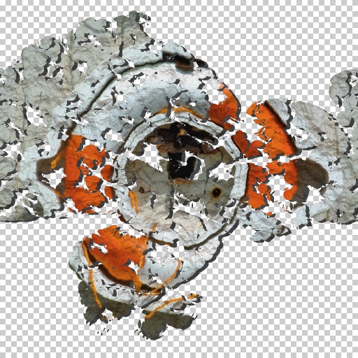 Variation 3