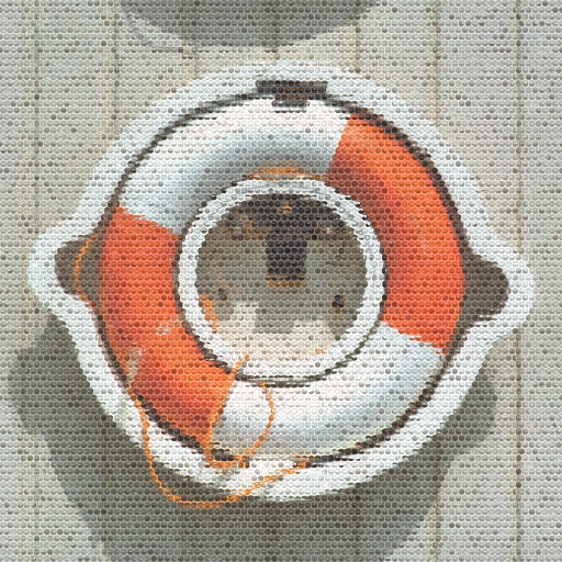 Variation 8