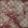 Raw Flesh