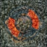Tone Trash 1g