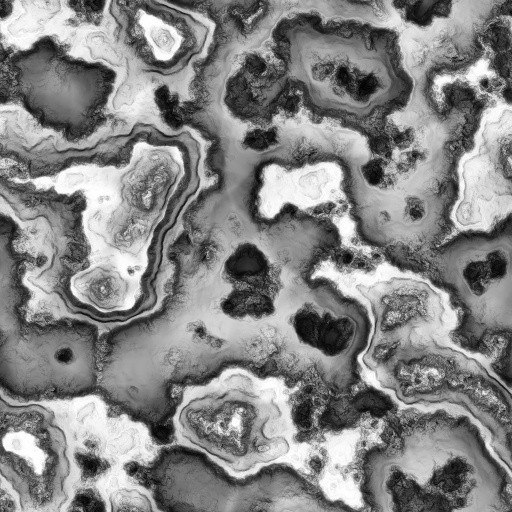 Ambient Occlusion Map