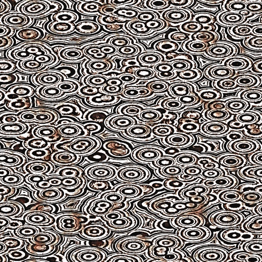 Variation 5