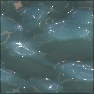 Liquid